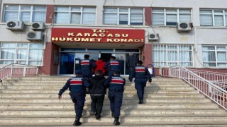 Karacasuda zeytin hırsızları yakalandı