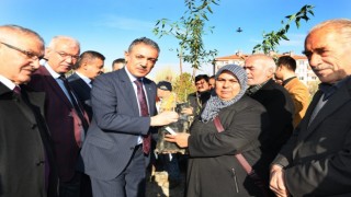 Karamanda çiftçilere 80 bin adet fidan dağıtıldı