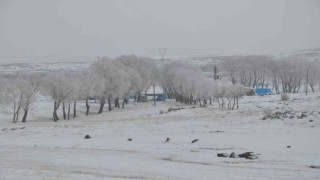 Karsta Lavaşın Gölü buz tuttu