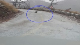 Kayanın altında kalmaktan son anda kurtuldular