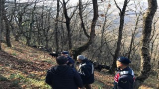 Kayıp koyunları jandarma ekipleri buldu