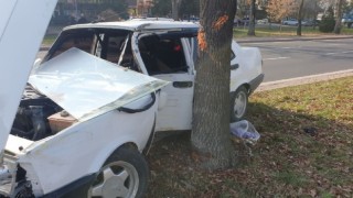 Kazada savrulan otomobil ağaca çarparak durabildi