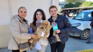 Kedisini, köpeğini getiren mikroçip sırasına girdi