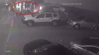 Kendi galerilerinin önünde ölesiye darp edildiler