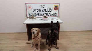 Koçarlıda uyuşturucu satıcılarına operasyon