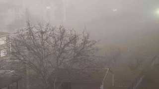 Kuluda yoğun sis etkili oldu