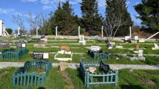 Kuşadası hayvan mezarlığına 3 yılda 335 hayvan gömüldü