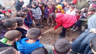 Kütahya Milli Eğitim Vakfı Halime Erkan İlkokulunda fidan dikim etkinliği
