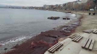Lodos sahili kırmızıya boyadı