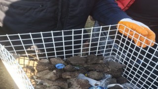 Mamamatiklerden plastik atık yerine taş parçaları çıktı