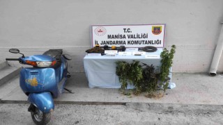 Manisada jandarma hem esrar hem de tarihi eser ele geçirdi