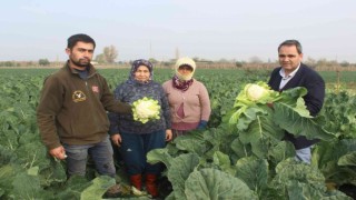 Manisalı başkandan Alışverişinizi pazar yerlerinden yapın çağrısı