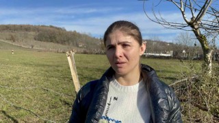 Merada vahşet: Gebe mandayı başından vurarak öldürdüler