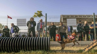 Mersinde Köpekli Arama Kurtarma Çalıştayı sona erdi