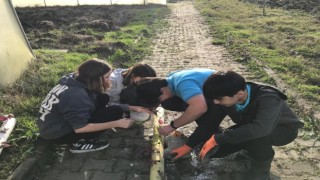 Meslek Lisesi topraksız tarım ile üretime başladı