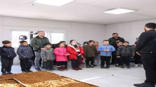 Minik öğrenciler mamaların nasıl üretildiğini gördü