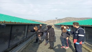 Müdür Ali Bilcan, sokak hayvanları için yapılacak projeleri anlattı