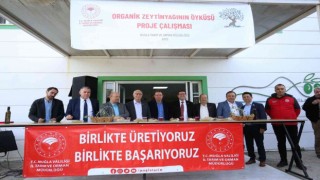 Muğlada Organik Zeytinyağının Öyküsü projesi tanıtım toplantısı gerçekleştirildi