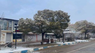 Muradiyede kar yağışı