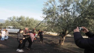 Öğrenciler zeytinin yağa dönüşüm serüvenine şahitlik ettiler