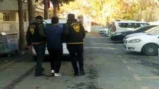 Okul faresi yakalandı