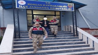 Orduda 9 yıldır firari olan suçlu jandarma ekipleri tarafından yakalandı