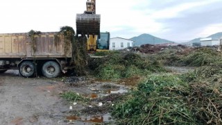 Ortacada yeşil alanlarda bakım çalışması
