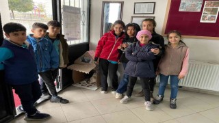 Ortaokul öğrencilerinin hayvan sevgisi