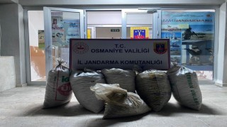 Osmaniyede 300 kilo yerfıstığı çalan 2 şüpheli yakalandı