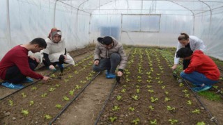 Özel gereksinimli öğrenciler uygulama atölyelerinde hayata adapte oluyor