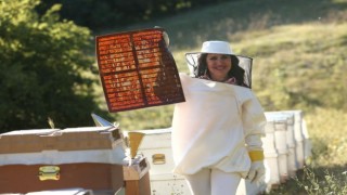 Propolis, burun spreyine girdi