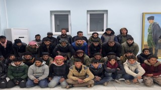 Şanlıurfada 88 düzensiz göçmen yakalandı: 4 gözaltı