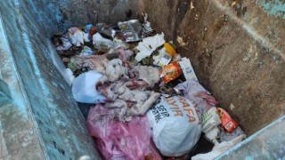 Şanlıurfada çöpten eşek ayakları ve derisi çıktı