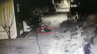 Sedefnur Çağların sır düşüşü kamerada