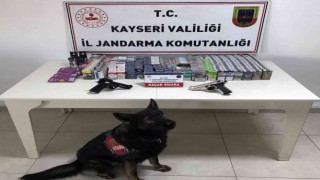 Sigara kaçakçısı jandarmadan kaçamadı