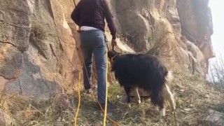 Siirtte kayalıklarda mahsur kalan 2 keçi kurtarıldı