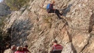 Siirtte kayalıklarda mahsur kalan keçiler 5 gün sonra kurtarıldı