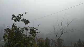 Silvanda yoğun sis, görüş mesafesini 20 metrenin altına düşürdü