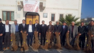 Sincik ve Samsatta meyve fidanı dağıtıldı