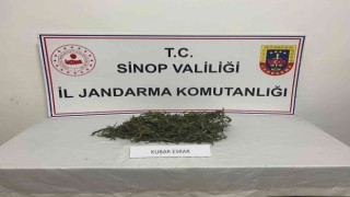 Sinopta jandarmadan uyuşturucu operasyonu