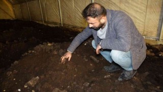 Solucan gübresine talep her geçen gün artıyor