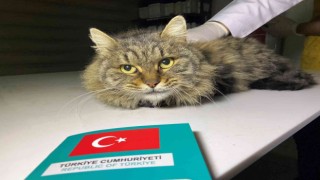 Son tarih 31 Aralık
