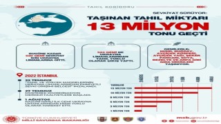 Tahıl koridorunda taşınan tahıl 13 milyon tonu geçti
