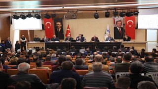 Talasta Arsalar Kapış Kapış