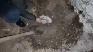 Toprağın altından cephane çıktı