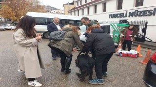 Tuncelide sokak hayvanlarını aşılama kampanyası başlatıldı
