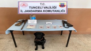 Tuncelide uyuşturucu operasyonu: 11 gözaltı