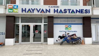 Türkiyedeki 3 hayvan hastanesinden birisi: Bölgedeki çiftçiler için umut oldu