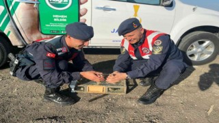 Tuzakla yakalanan saka kuşları doğaya salındı