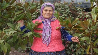 Ümmiye Koçakın köyden New Yorka uzanan başarı hikayesi